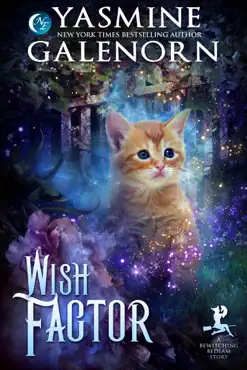 wish factor: a bewitching bedlam short story book cover image