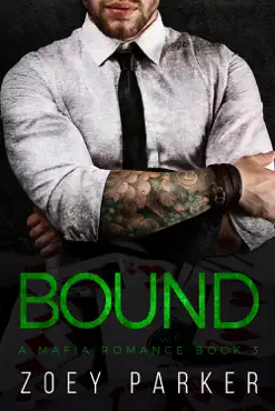 bound (book 3) book cover image