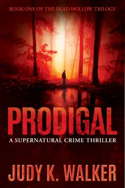 prodigal book cover image