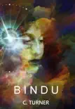 Bindu synopsis, comments