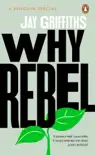 Why Rebel sinopsis y comentarios