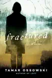 Fractured synopsis, comments