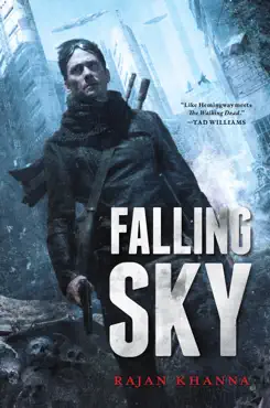 falling sky book cover image