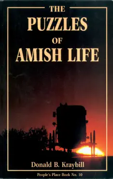 puzzles of amish life book cover image