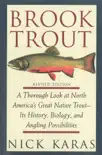 Brook Trout synopsis, comments