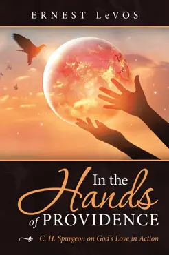 in the hands of providence book cover image