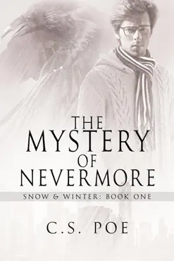 the mystery of nevermore book cover image