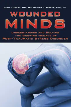 wounded minds book cover image