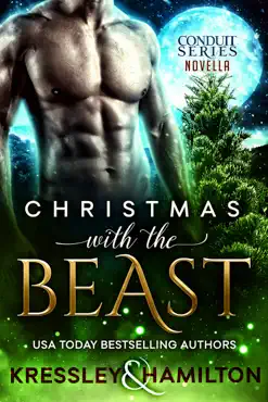 christmas with the beast book cover image