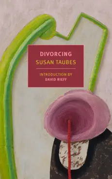 divorcing book cover image