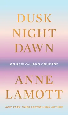 dusk, night, dawn book cover image