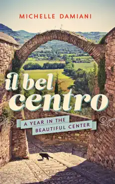 il bel centro book cover image