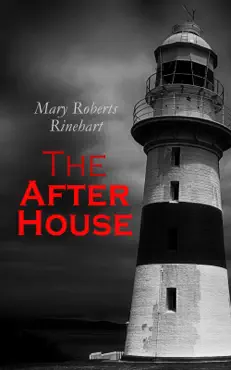 the after house book cover image