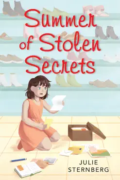 summer of stolen secrets book cover image