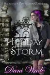 Holiday Storm synopsis, comments