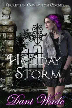 holiday storm book cover image