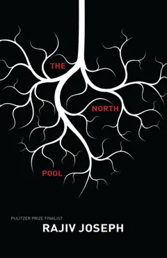 the north pool book cover image