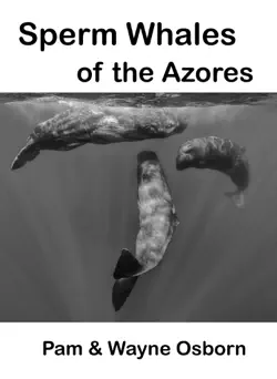 sperm whales of the azores imagen de la portada del libro