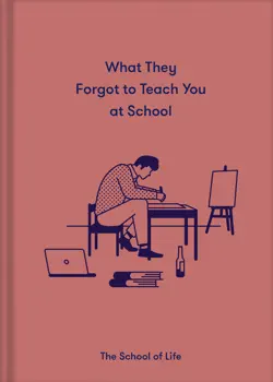 what they forgot to teach you at school book cover image
