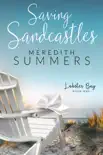 Saving Sandcastles synopsis, comments