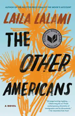 the other americans book cover image
