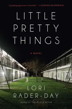 little pretty things book cover image