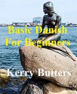 basic danish for beginners. book cover image