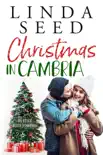Christmas in Cambria synopsis, comments