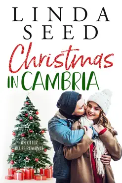 christmas in cambria book cover image
