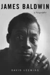 James Baldwin sinopsis y comentarios