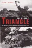 The Bloody Triangle synopsis, comments