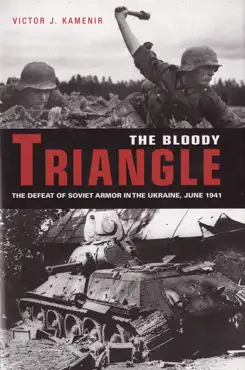 the bloody triangle book cover image