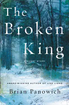 the broken king book cover image