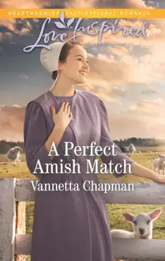 a perfect amish match book cover image
