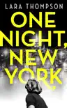 One Night, New York sinopsis y comentarios