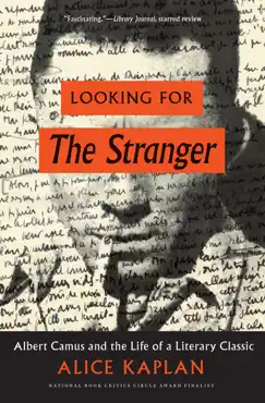 looking for the stranger book cover image