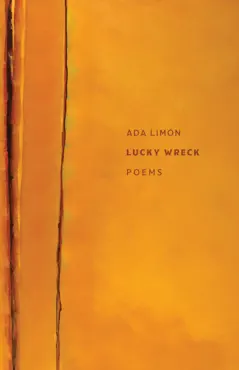 lucky wreck book cover image