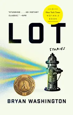 lot book cover image