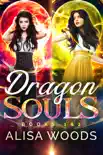 Dragon Souls Box Set e-book