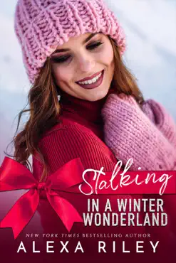 stalking in a winter wonderland book cover image