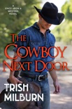 The Cowboy Next Door book summary, reviews and download