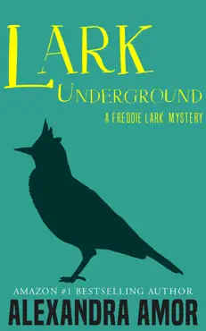 lark underground book cover image
