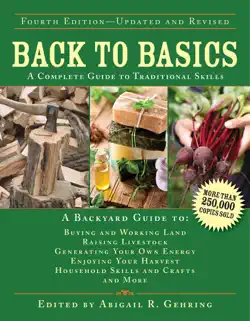 back to basics book cover image