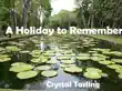 A Holiday to Remember synopsis, comments