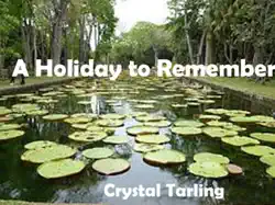 a holiday to remember book cover image