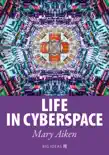 Life in Cyberspace synopsis, comments