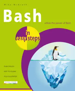 bash in easy steps book cover image