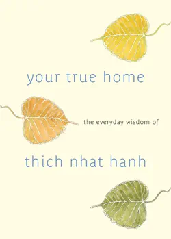 your true home book cover image