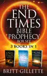 The End Times Bible Prophecy Box Set: 3 Books in 1 - The End Times, Signs of the Second Coming, and Racing Toward Armageddon e-book