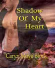 Shadow of My Heart synopsis, comments